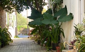 Grandmother'S House